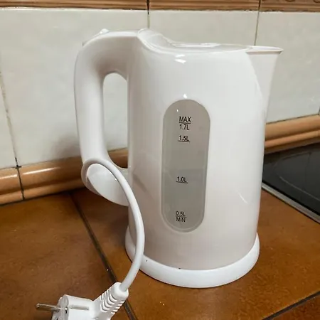 Flora * سانتا كروز دي تينيريف